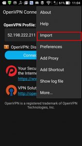 OpenVPN Connect Import menu